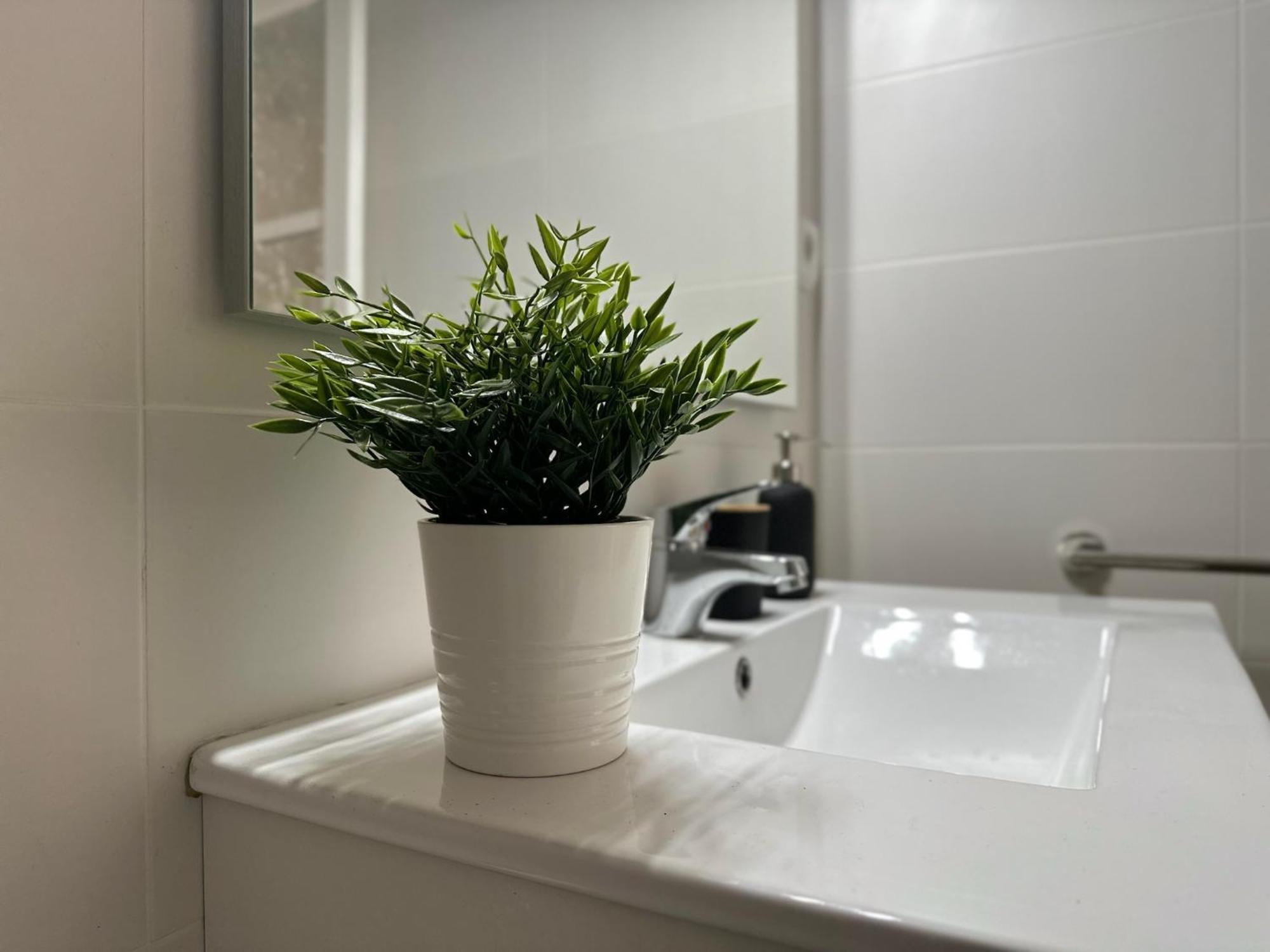 Apartamentos Vernia Ontinyent Buitenkant foto